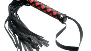 Whip It Up: Guide to Sex Whips, Crops & Floggers